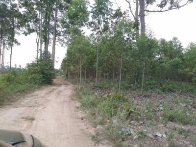 ที่ดิน 120000 สระแก้ว เมืองสระแก้ว ศาลาลำดวน