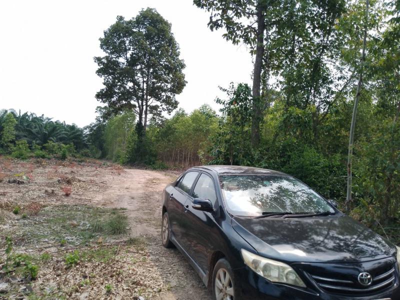 ที่ดิน 120000 สระแก้ว เมืองสระแก้ว ศาลาลำดวน ที่ดิน 120000 สระแก้ว เมืองสระแก้ว ศาลาลำดวน