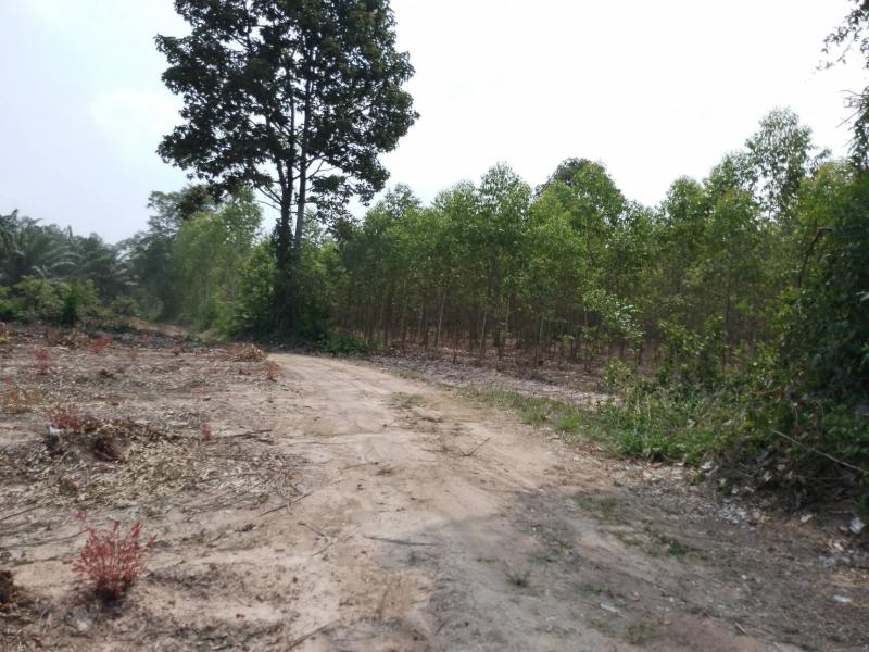 ที่ดิน 120000 สระแก้ว เมืองสระแก้ว ศาลาลำดวน ที่ดิน 120000 สระแก้ว เมืองสระแก้ว ศาลาลำดวน