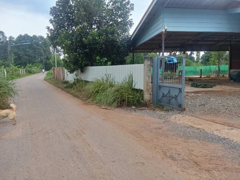 ที่ดิน 1600000 สระแก้ว เมืองสระแก้ว โคกปี่ฆ้อง ที่ดิน 1600000 สระแก้ว เมืองสระแก้ว โคกปี่ฆ้อง