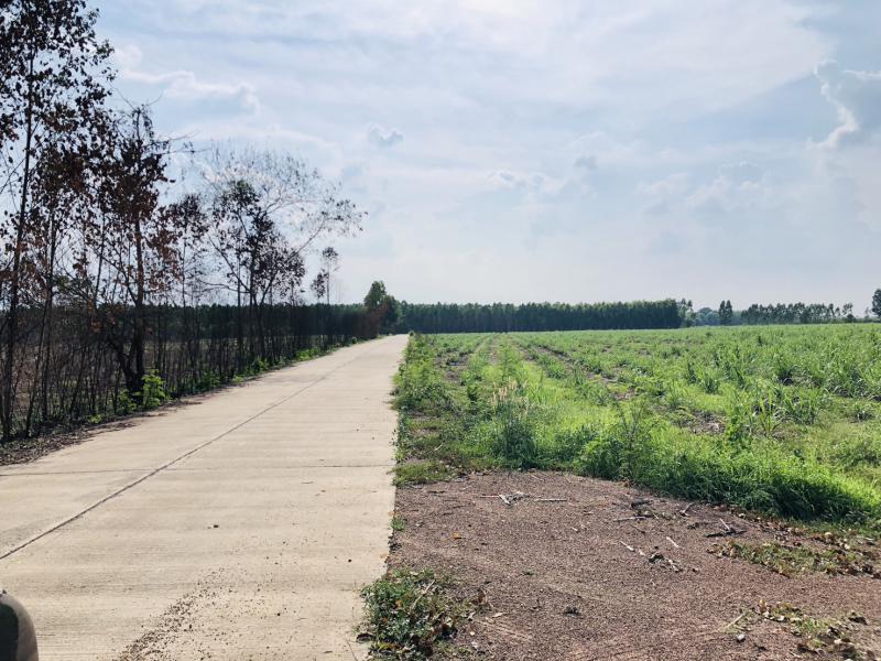 ที่ดิน 70000 ปราจีนบุรี กบินทร์บุรี เขาไม้แก้ว ที่ดิน 70000 ปราจีนบุรี กบินทร์บุรี เขาไม้แก้ว